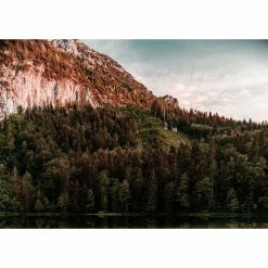 Vélo Rondo Ruut ST 1 (gravel, 2022) 11 Vélo Rondo Ruut ST 1 (gravel, 2022) -VÉLOS DE ROUTE SOLDES Rondo Ruut ST 1 Gravel Bike 2022 Adventure Bikes Green Black 2022 RB 462 3